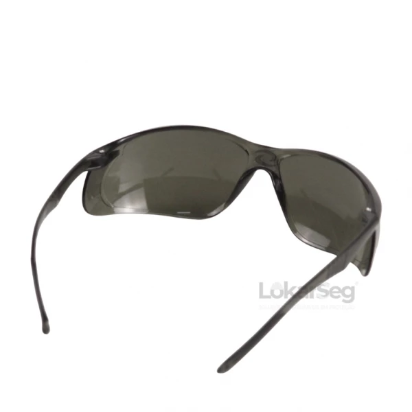 &Oacute;CULOS CZ AR SS5 SUPER SAFETY